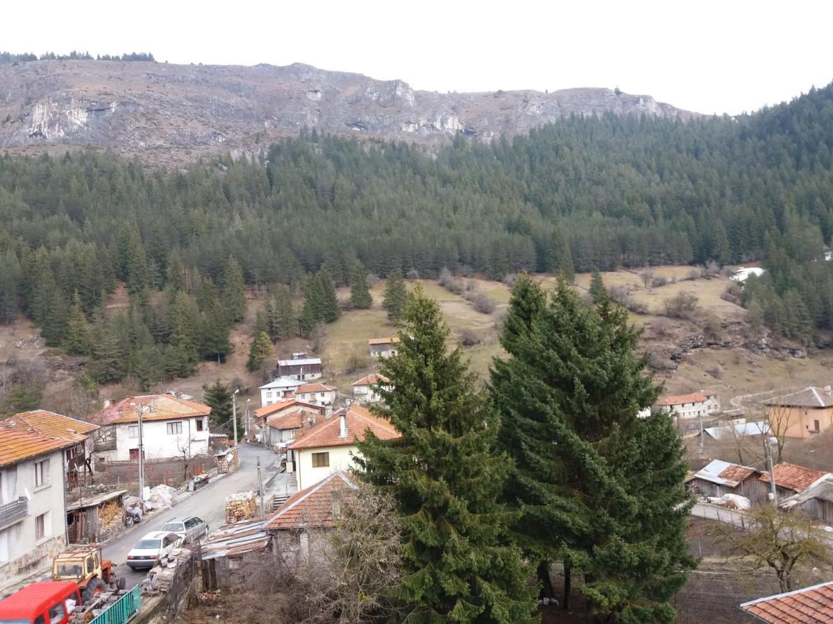 Къща За Гости Камината Trigrad Exteriör bild